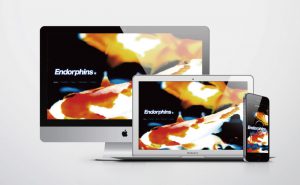 エンドルフィンズ公式ウェブサイト